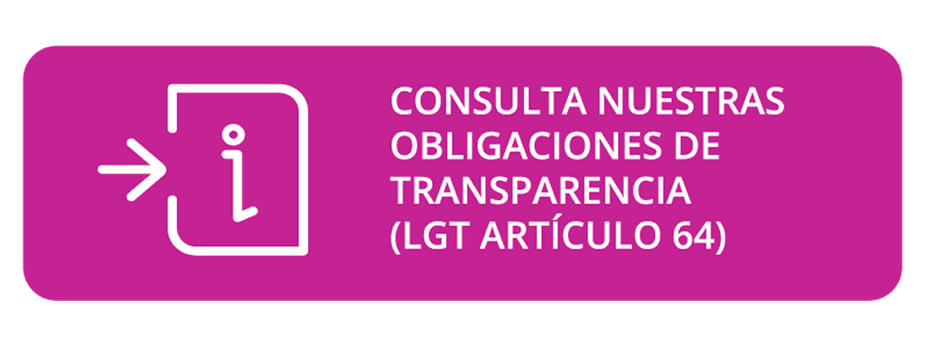 bnr_consulta_obligaciones_pnt-1-1024x384