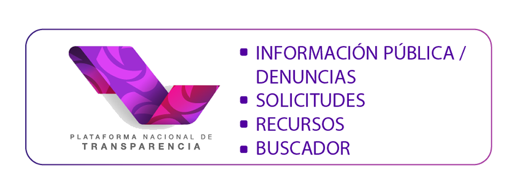 bnr_inf_publica_pnt-1-1024x384