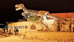 museo del desierto