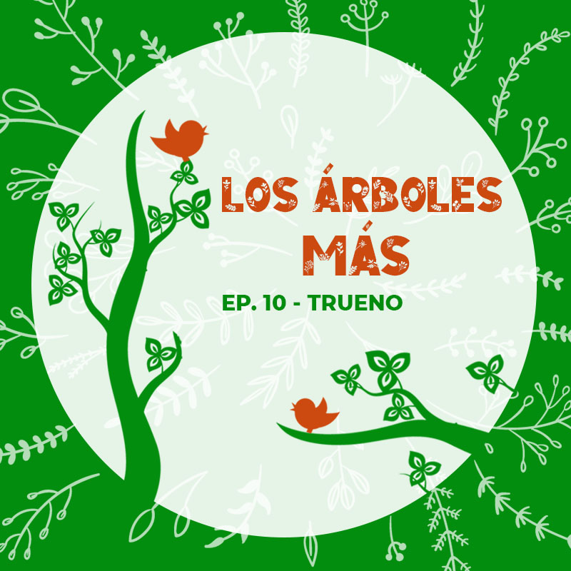 historias_enramadas_01_arboles_mas_EP10