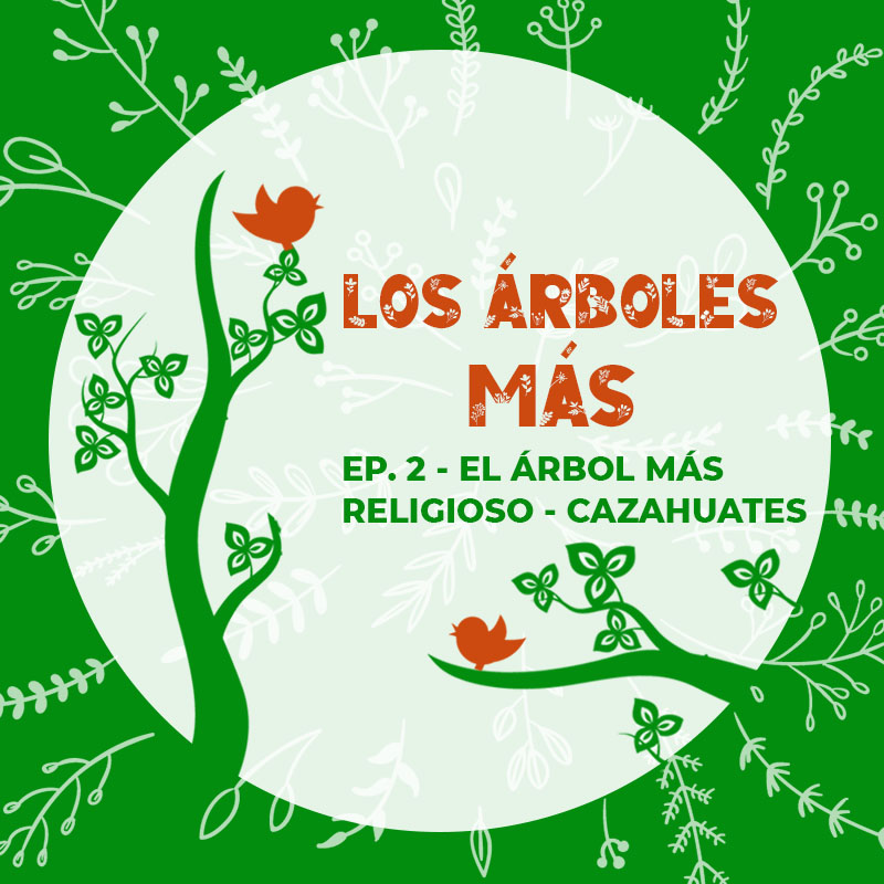 historias_enramadas_01_arboles_mas_EP2