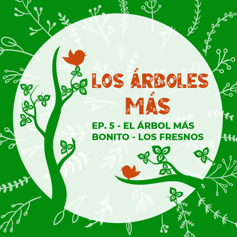 historias_enramadas_01_arboles_mas_EP5