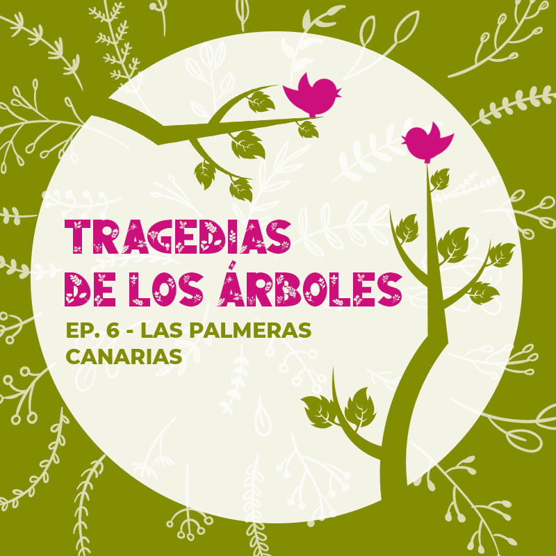 historias_enramadas_02_tragedias_arboles_EP6