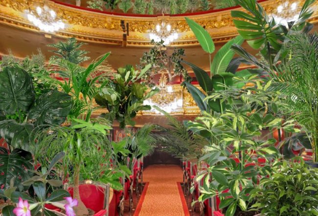 liceu_bioceno_plantas_1