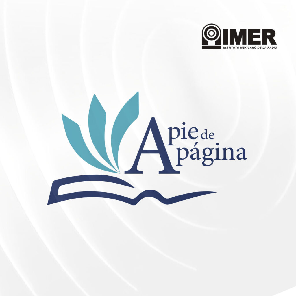 A pie de pagina IMER