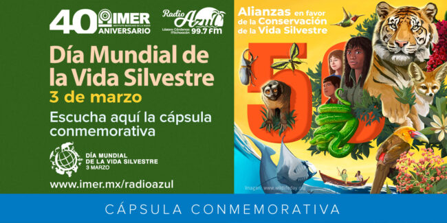 dest_radioazul_03mzo2023_capsula_dia_mund_vida_silvestre