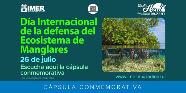 EDUCACIÓN_IMER_RedesSociales
