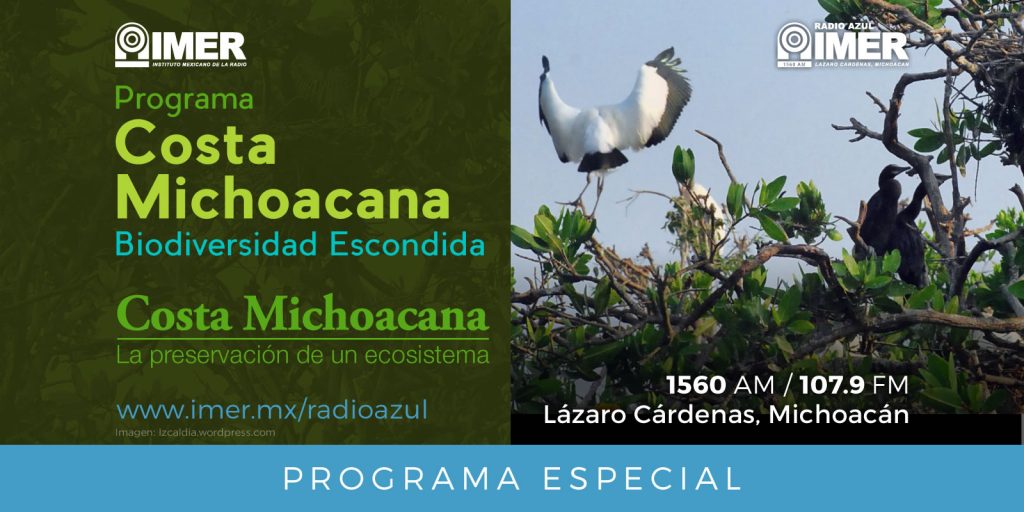 prog_radioazul_camp_costamich_costa