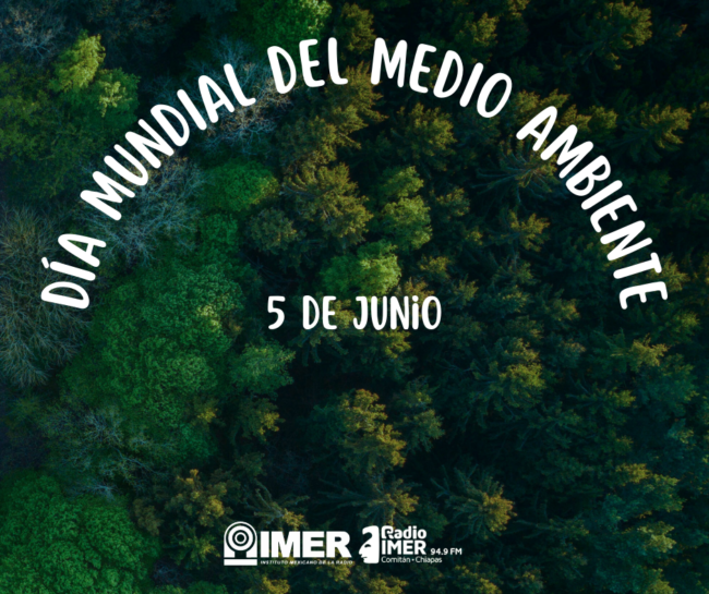 05 de junio Día Mundial del Medio Ambiente