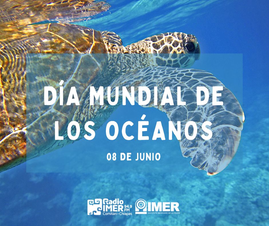 08 DE JUNIO