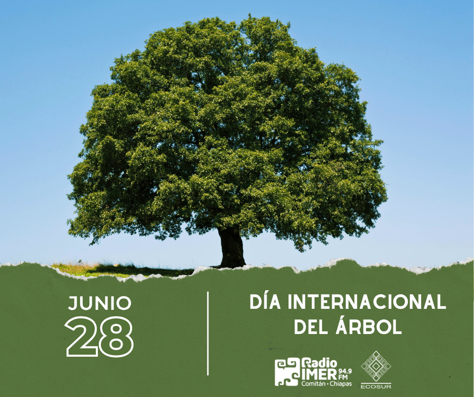 25 DE JUNIO