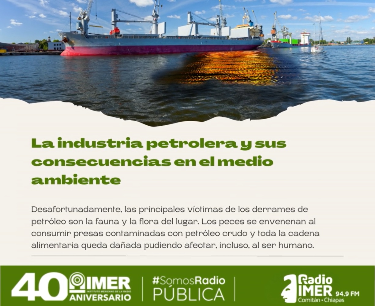 INDUSTRIA PETROLERA