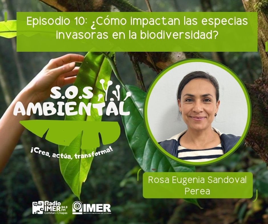 sosambiental_radioimer_especies_ep10