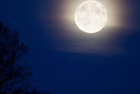 a_la_luz_de_la_luna a_la_luz_de_la_luna