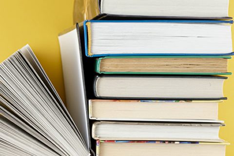 de chile manteca y sal de chile manteca y sal