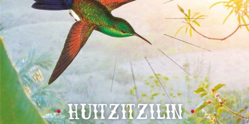 el-canto-del-colibri