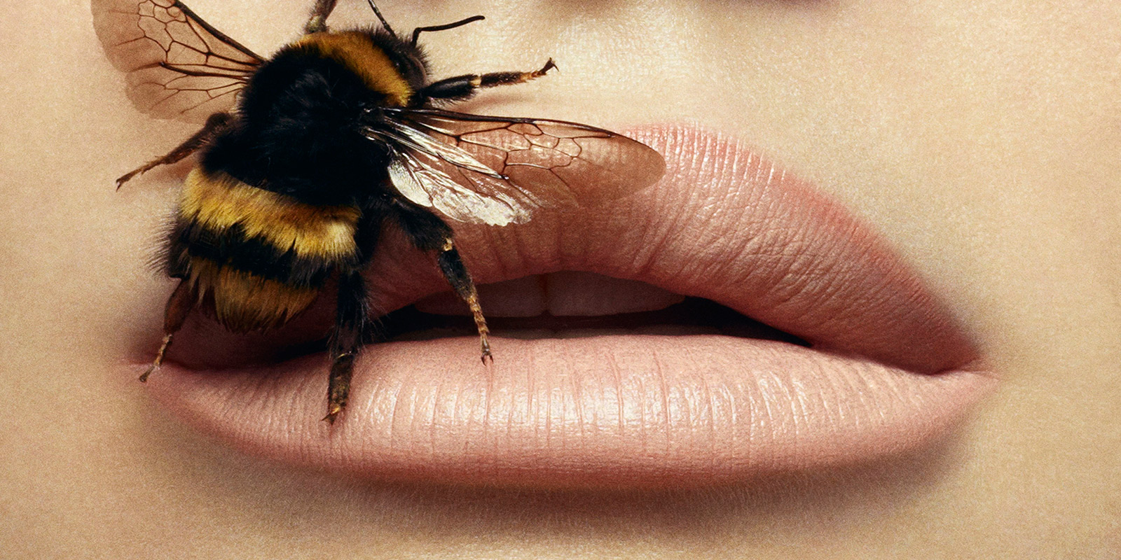 Comer-Insectos