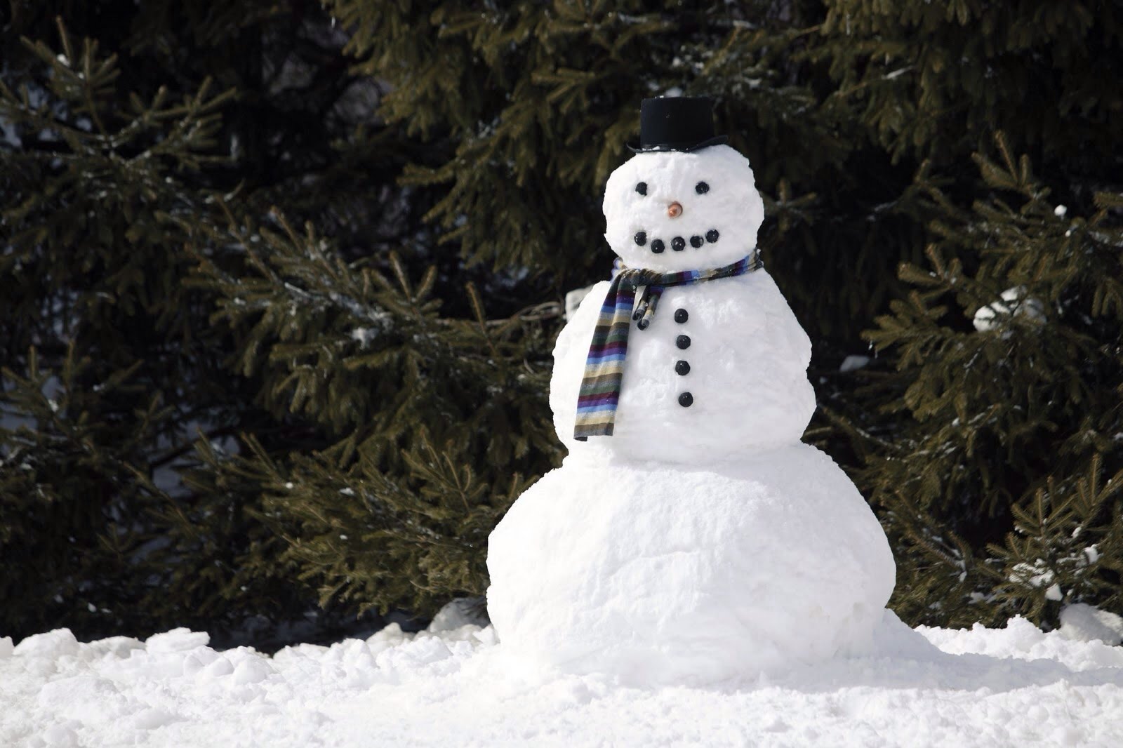 Cuál fue el primer muñeco de nieve que se realizó la historia? – Tropicalísima 13-50