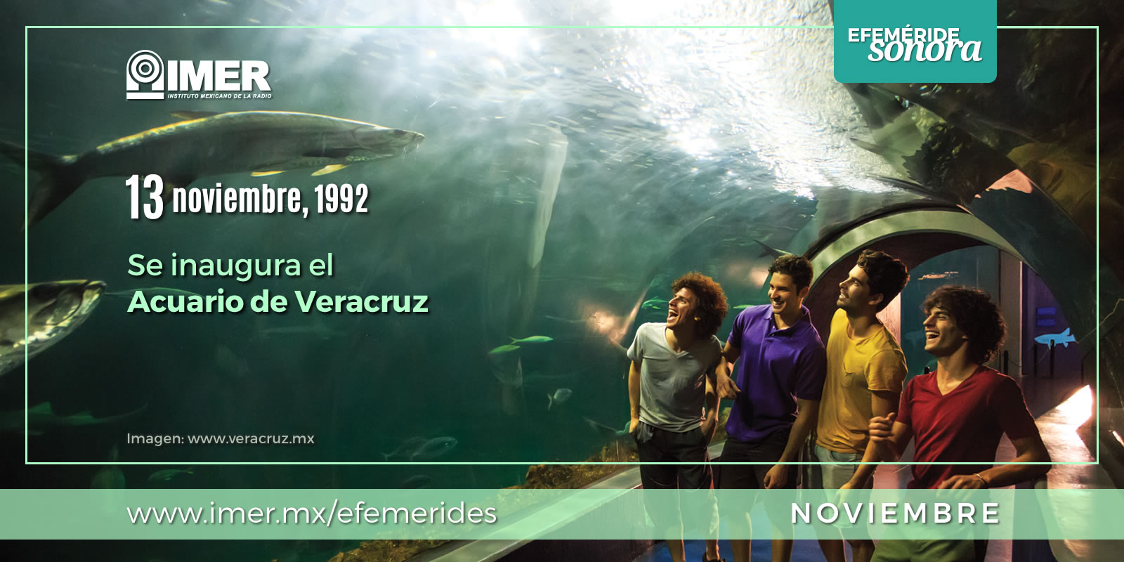 13noviembre-AcuariodeVeracruz