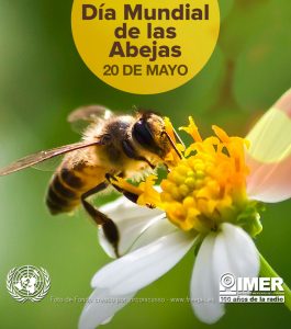 20 de mayo: Día Mundial de las Abejas – IMER