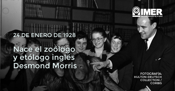 24ene_desmondmorris_efeméride