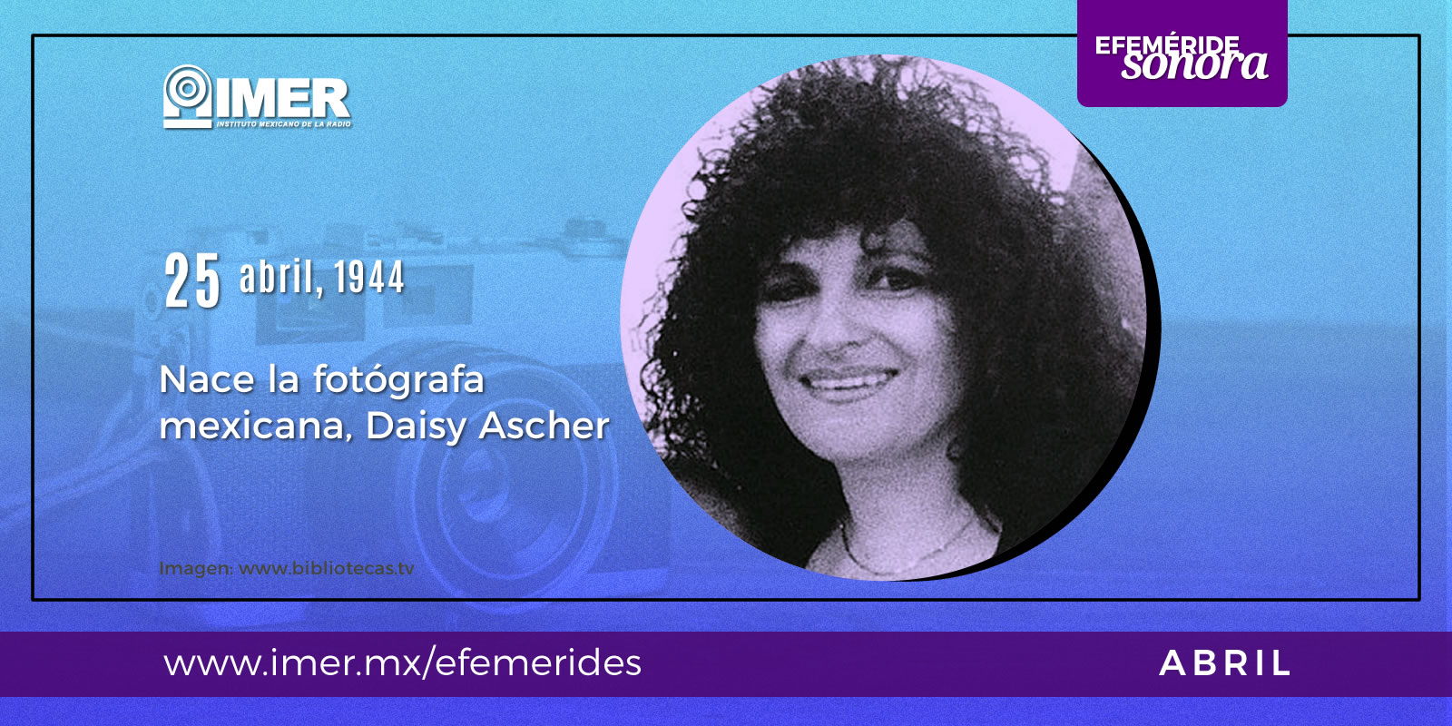 25_abr19_daisy_ascher